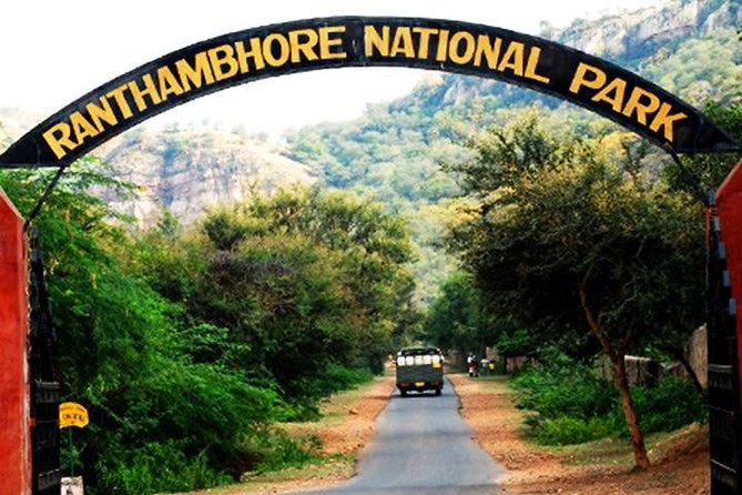 2-Days Private Ranthambhore Tiger Tour from Jaipur - Timing, fitness, and what to pack