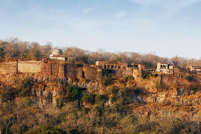 2 Days Ranthambore Tiger Safari with Tickets - Ranthambore Fort, two hours among old stone walls