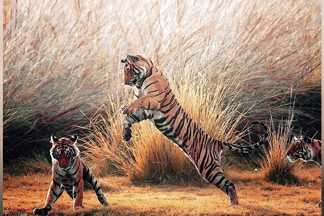 4 Days Guided Jaipur, Ranthambore Tigers & Udaipur Tour With Safari & Hotels - What the hotel and meal options really include