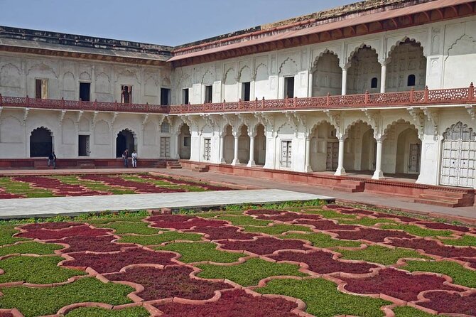 4 Days Private Golden Triangle Tour - What the private vehicle changes