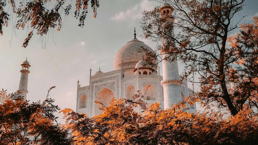 7-Day Golden Triangle Jodhpur Udaipur Tour from Delhi - Guides, drivers, and the shopping pattern