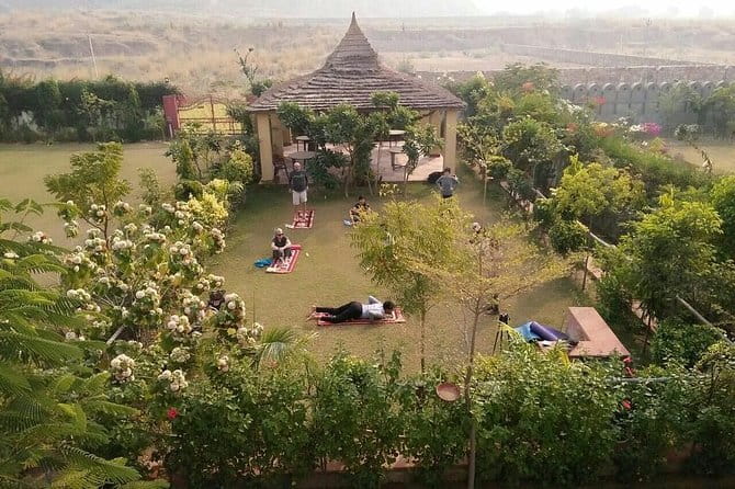 Aravali Exotic Hiking, Yoga with Breakfast - Guided yoga among the ruins