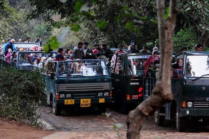 Day Trip from Jaipur to Ranthambore Safari - Leaving Jaipur for the three-hour ride south