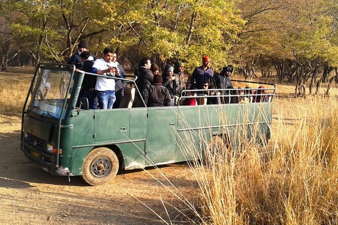 Day Trip to Ranthambore Tiger Reserve from Jaipur - Who should book this Jaipur day trip