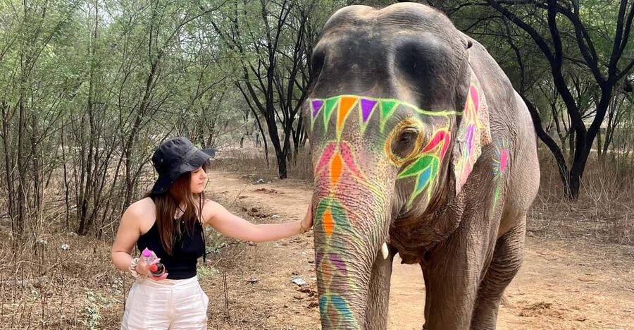Elefun Best Elephant Sanctuary in Jaipur - Key points to know before you book