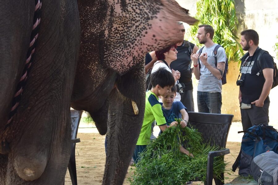 Elefun Best Elephant Sanctuary in Jaipur - Who will enjoy this sanctuary visit