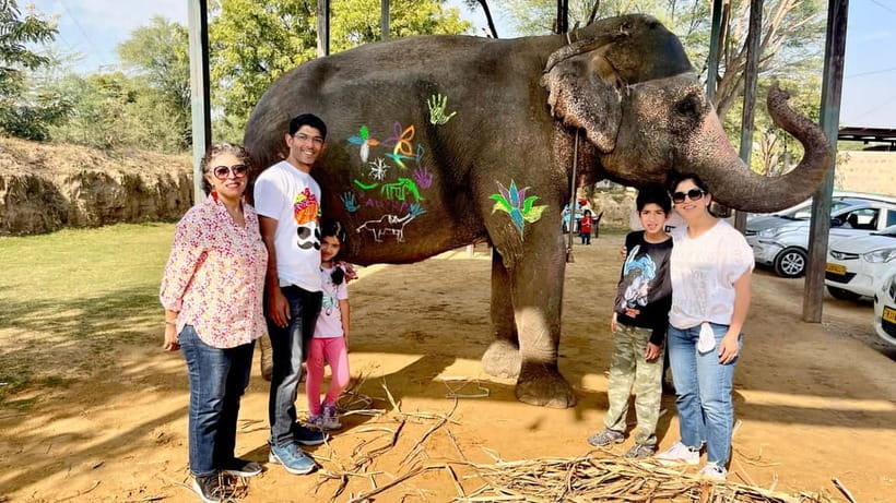 Elefun Best Elephant Sanctuary in Jaipur - Washing and the seasonal elephant shower
