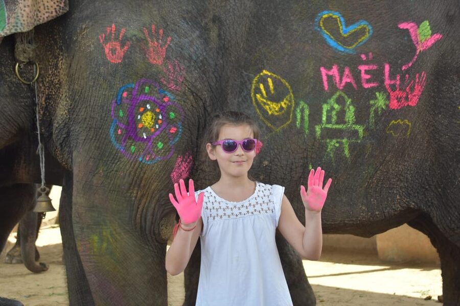 Elefun Best Elephant Sanctuary in Jaipur - What $60 gets you in Jaipur