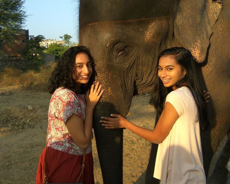 Elephant Sanctuary for Best elephant experience in Jaipur - A few things to clarify before booking