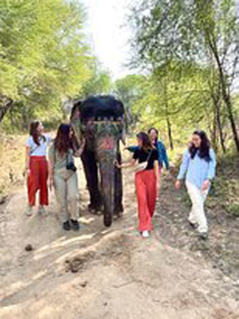 Elephant Sanctuary for Best elephant experience in Jaipur - Learning how the sanctuary works