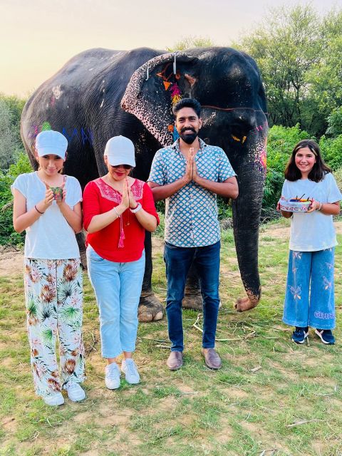 Elephant Sanctuary for Best elephant experience in Jaipur - Feeding, walking, and gentle contact