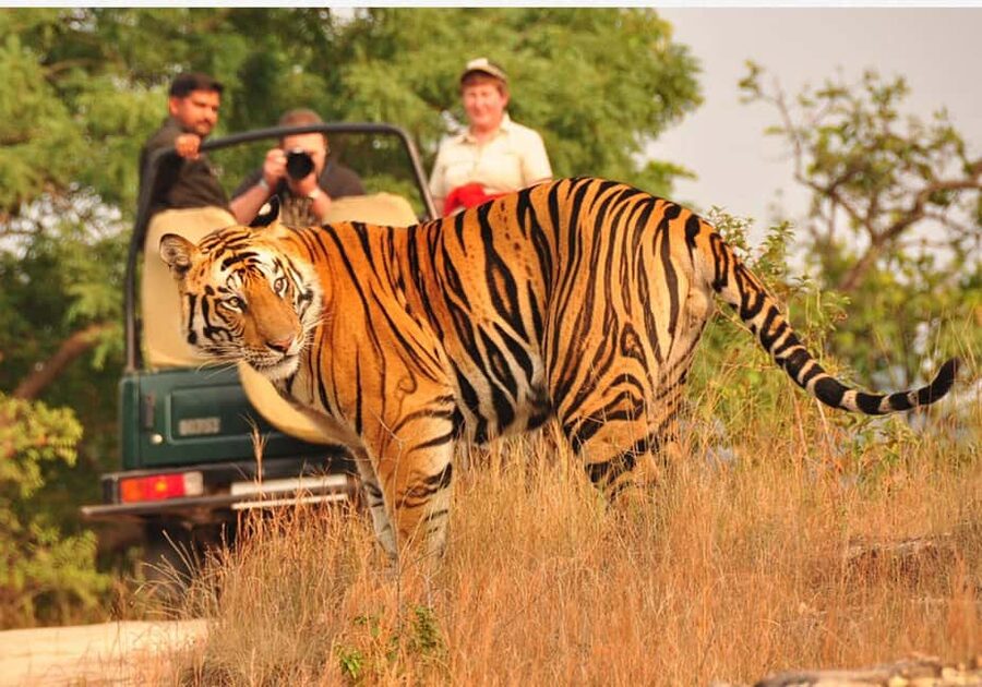 From Delhi: 6-Day Golden Triangle Tour with Ranthambore - What this six-day Golden Triangle route really covers