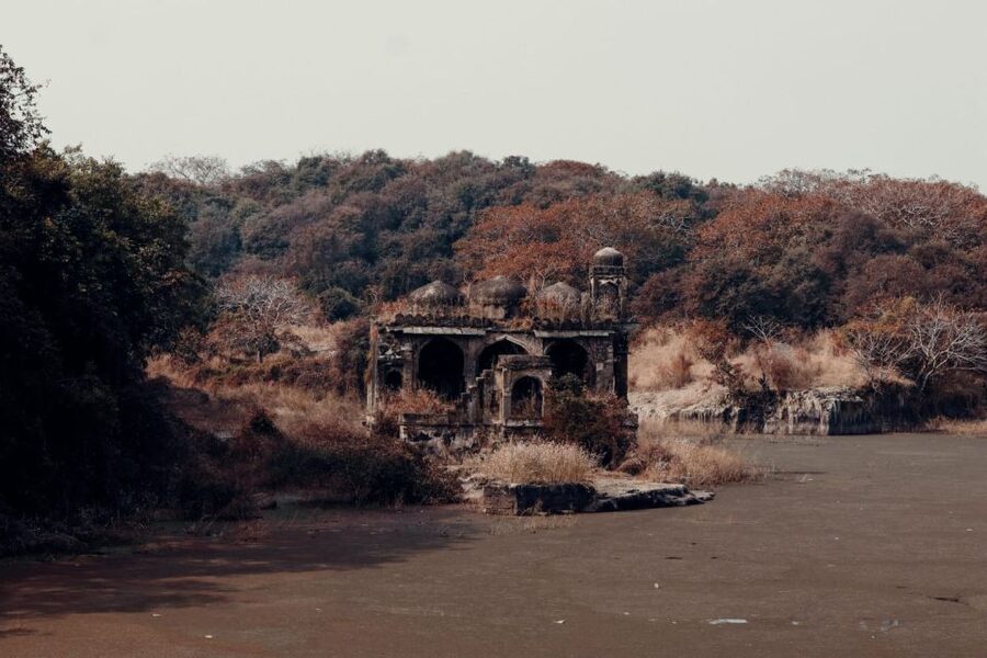 From Jaipur : 2 Days Ranthambore Tiger Safari Tour By Car - Key points to know before booking