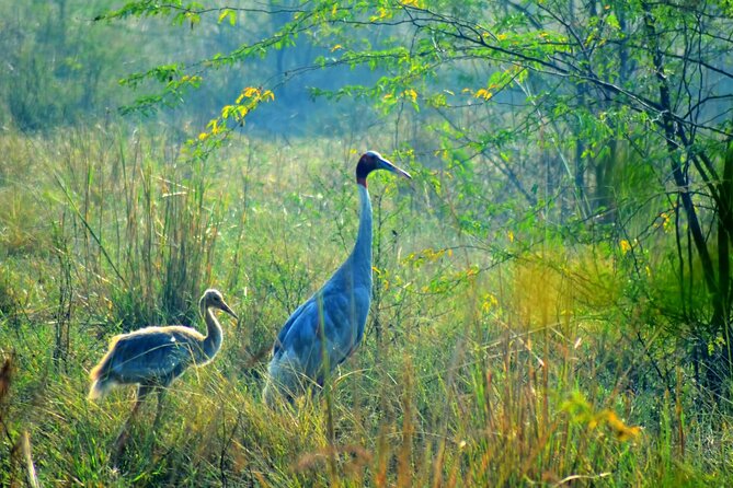From Jaipur: Bird Safari and Agra sightseeing All-Inclusive - Leaving Jaipur for Bharatpur