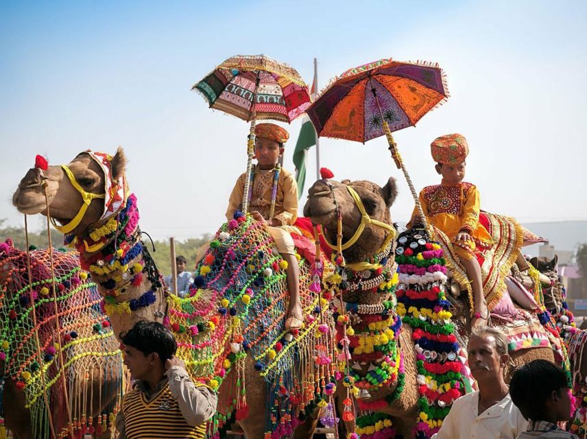 From Jaipur: One-Day Trip From Jaipur to Pushkar - Brahma Temple and Pushkar’s religious identity