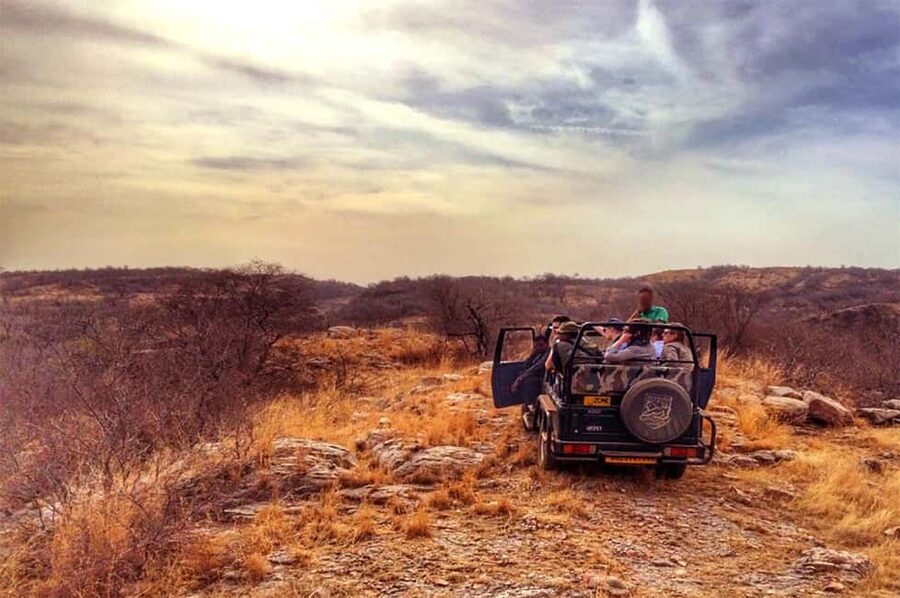 From Jaipur: Praivte Ranthambore Tour By Jeep Canter Safari - Key points to know before booking