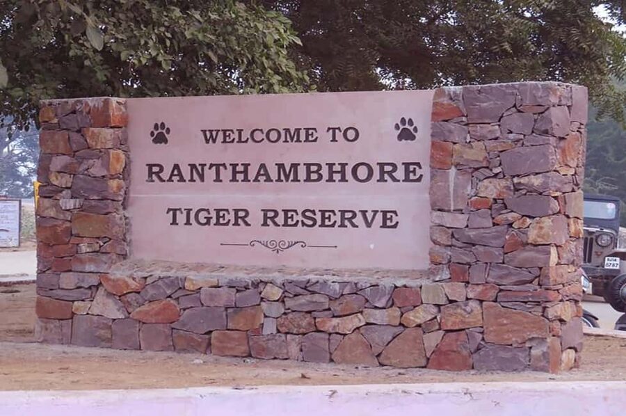 From Jaipur: Praivte Ranthambore Tour By Jeep Canter Safari - Leaving Jaipur before the wildlife begins