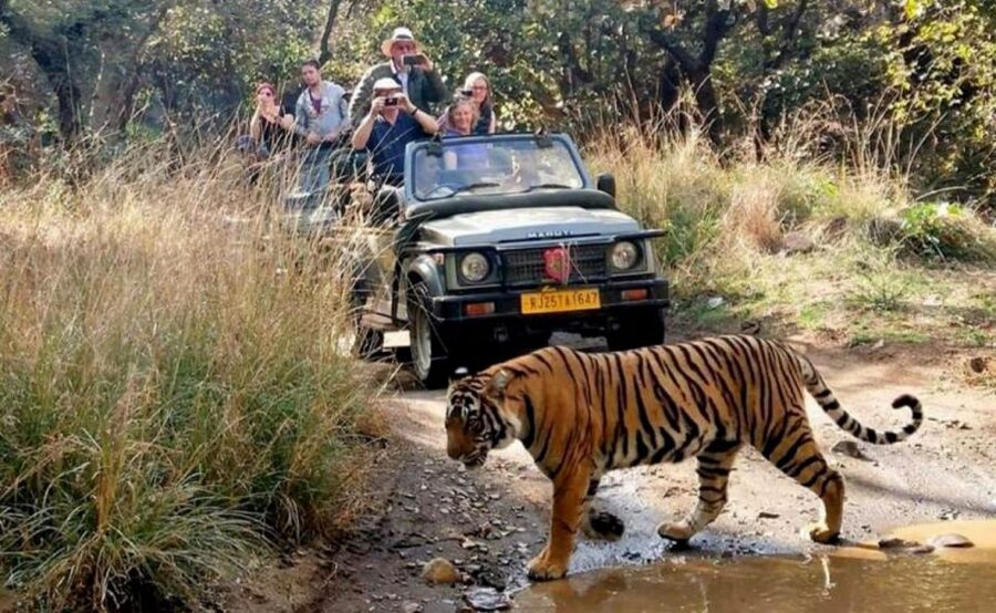 From Jaipur: Praivte Ranthambore Tour By Jeep Canter Safari - Rural Women Craft and the optional stop