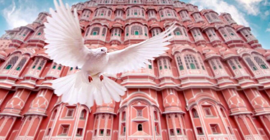 From Jaipur: Private Amber Fort, Jal Mahal and More Car Tour - The step well adds a different kind of architecture