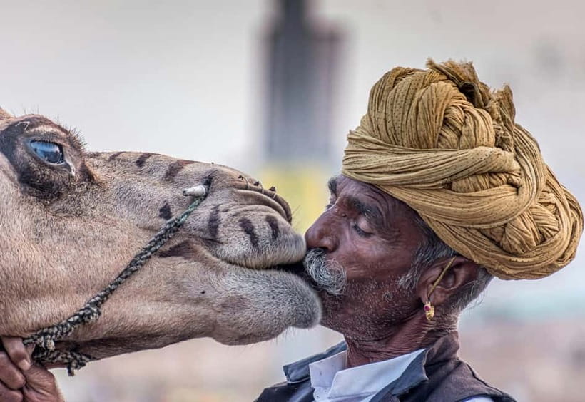 From Jaipur: Pushkar and Ajmer Private Day Trip - From Jaipur to Pushkar by private car