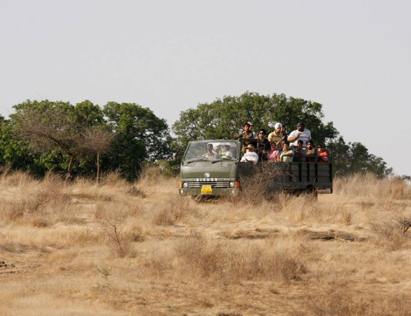From Jaipur: Ranthambore Tour with Cab - Three to Four Hours Inside Ranthambore