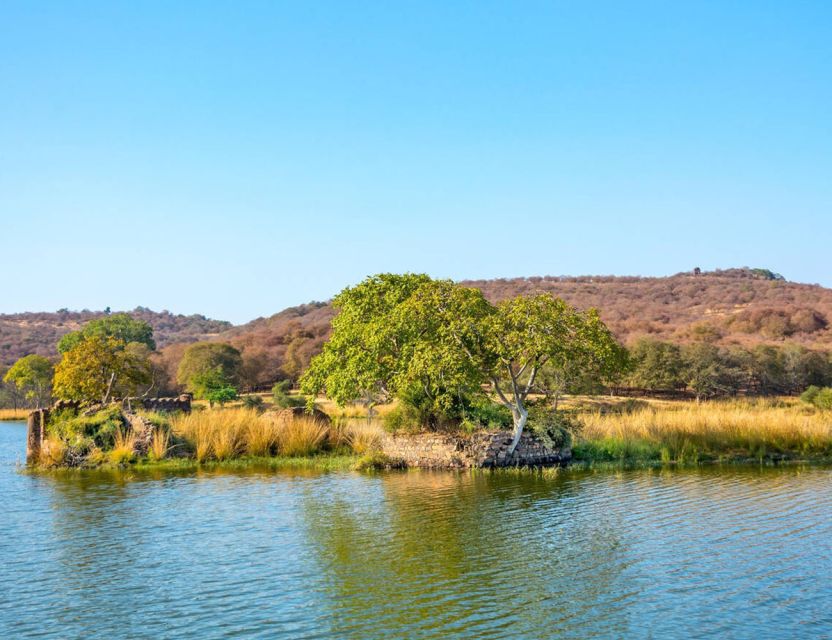 From Jaipur: Ranthambore Tour with Cab - Is the $127 Price Fair?