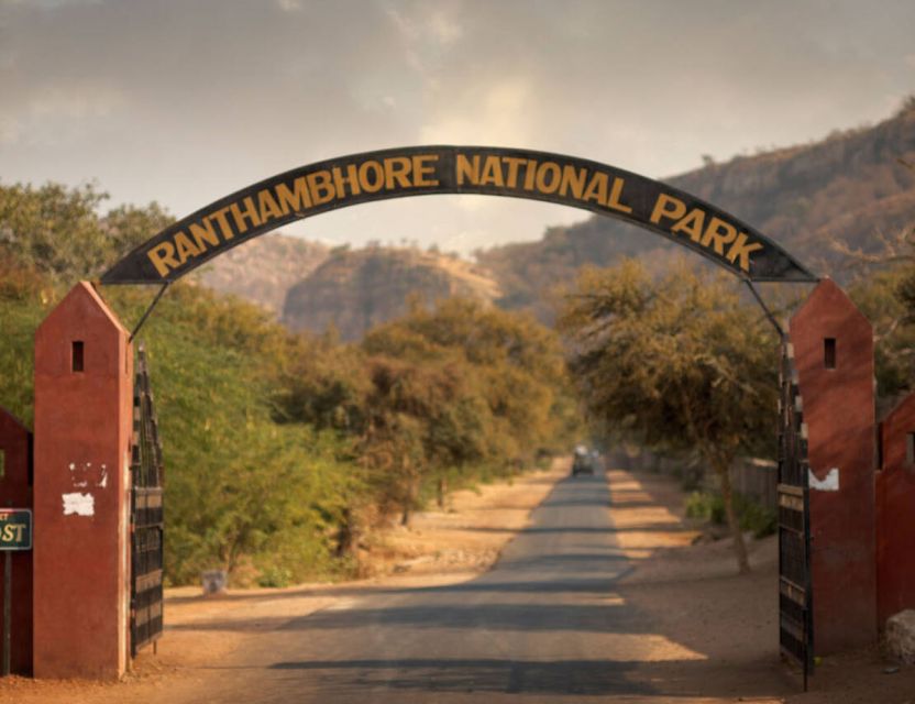 From Jaipur: Ranthambore Tour with Cab - Booking, Cancellation, and Practical Timing