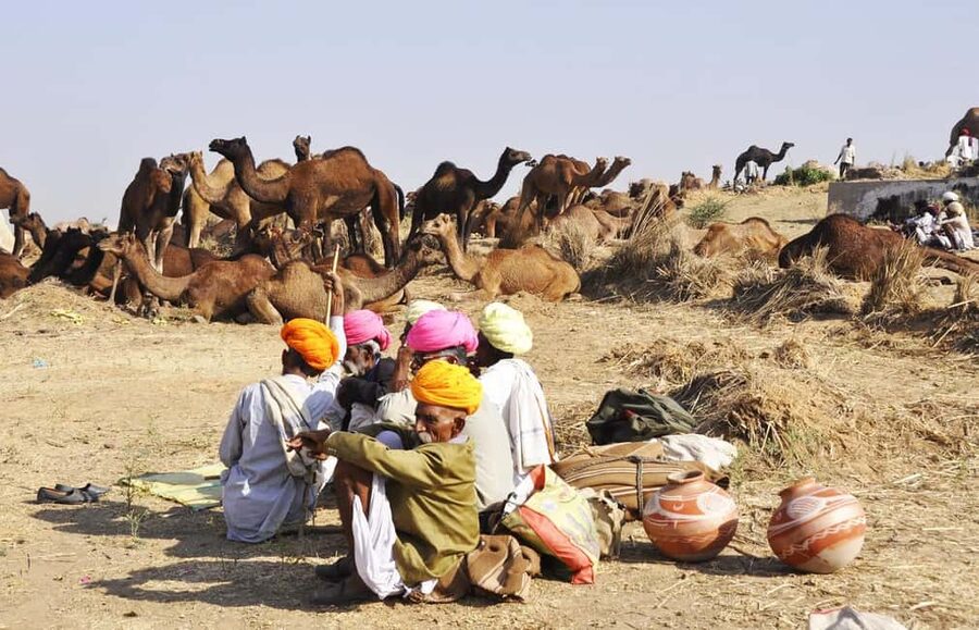 From Jaipur: Same Day Pushkar Self-Guided Day Trip - Savitri Temple and the 650-step climb