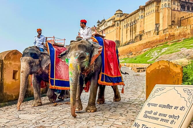 Full-Day Jaipur Highlights with Local Guide & Private Vehicle - Jal Mahal and the art of the short stop