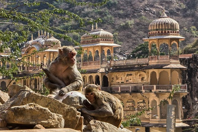 Full-Day Private City Tour of Jaipur - Amber Fort takes center stage
