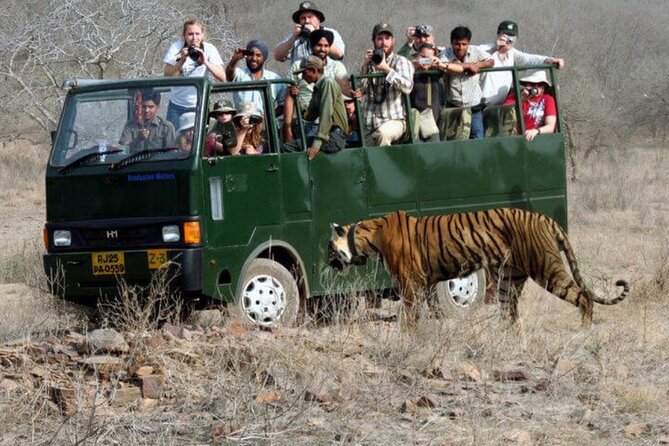 Golden Triangle & Ranthambore: 4-Day Private Tour from Delhi - Guides, drivers, and the private-car advantage
