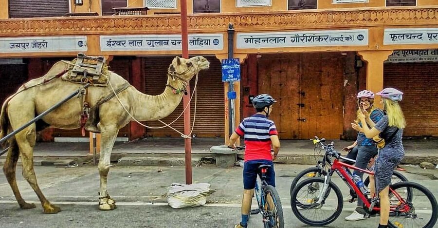 Jaipur: 3-Hour Morning Bike Tour of Jaipur Old City - Albert Hall and the morning park scene