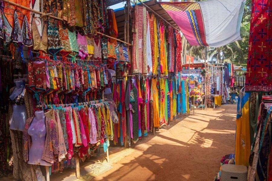 Jaipur: Amber Fort, Jal Mahal and Hawa Mahal Private Tour - Albert Hall Museum: finish among art and objects