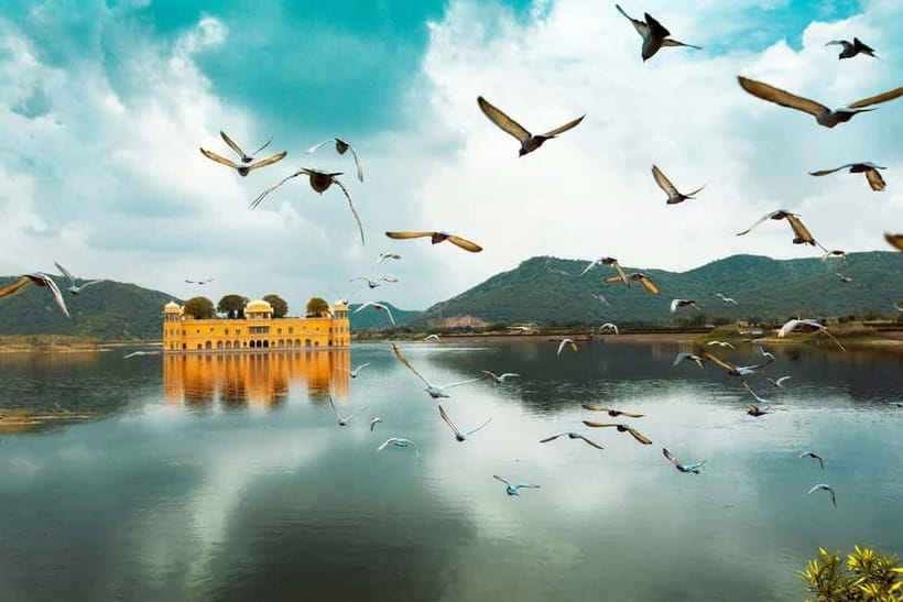 Jaipur: Amber Fort, Stepwell & Jal Mahal with Pickup - Jal Mahal is a scenic final stop
