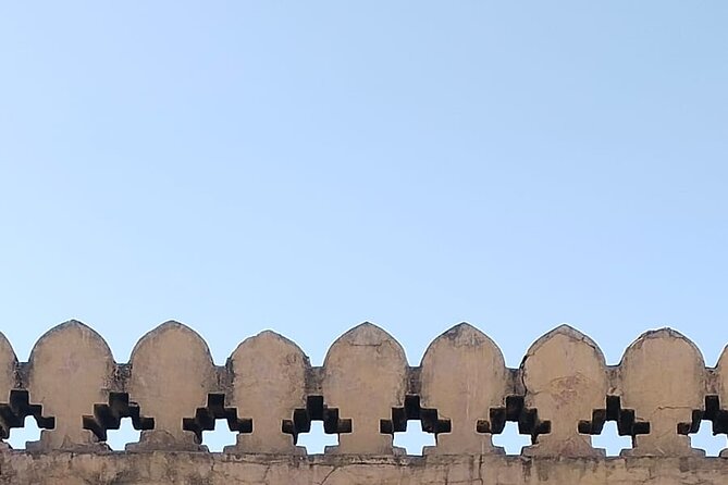 Jaipur City Full Day Luxury Private Tour - Jal Mahal: a short stop for a long view