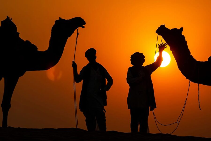 Jaipur: City Tour Full-Day Sightseeing with Guide - Jal Mahal and a pause for lunch