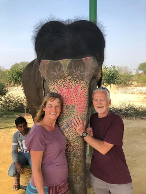 Jaipur: Elephant Interaction Tour - Key points at a glance