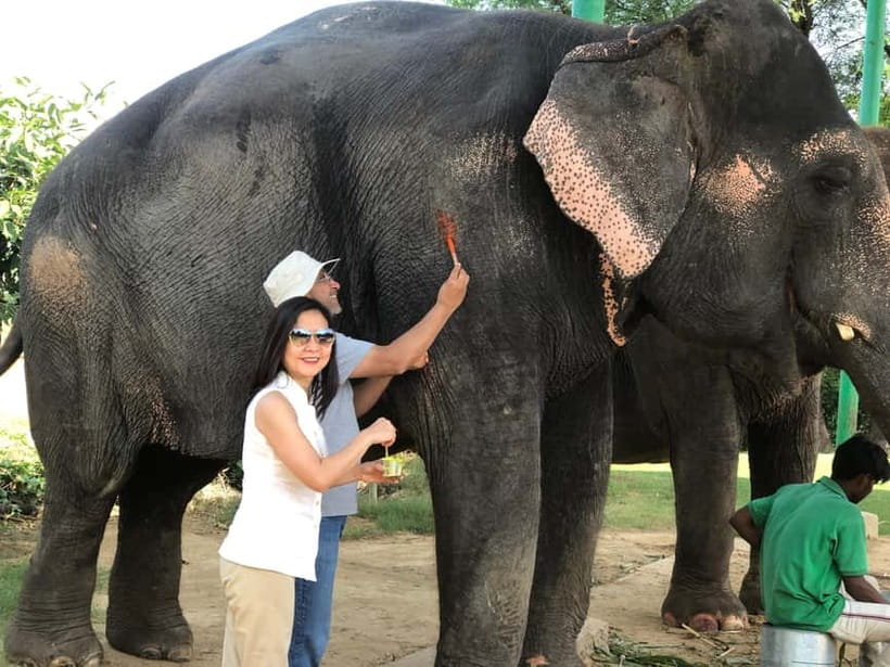 Jaipur: Elephant Interaction Tour - Is $58 per person good value?
