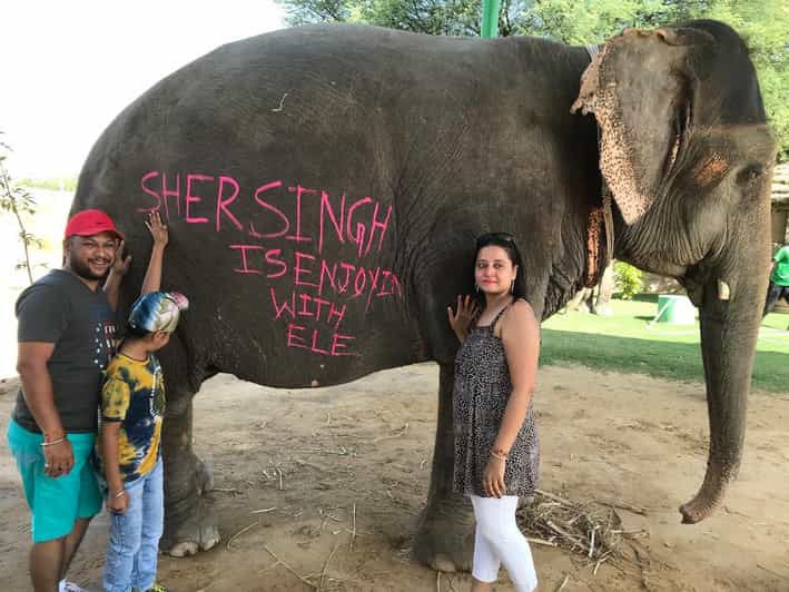 Jaipur: Elephant Interaction Tour - A close look at Jaipur’s rescued elephants