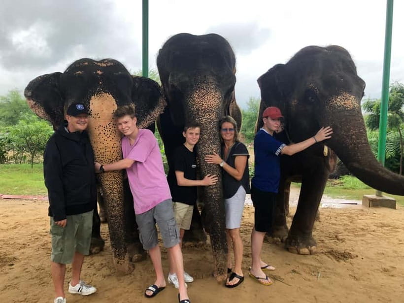 Jaipur: Elephant Interaction Tour - Walking beside an elephant instead of riding