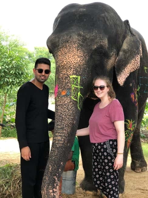 Jaipur: Elephant Interaction Tour - Mud play, followed by washing and scrubbing