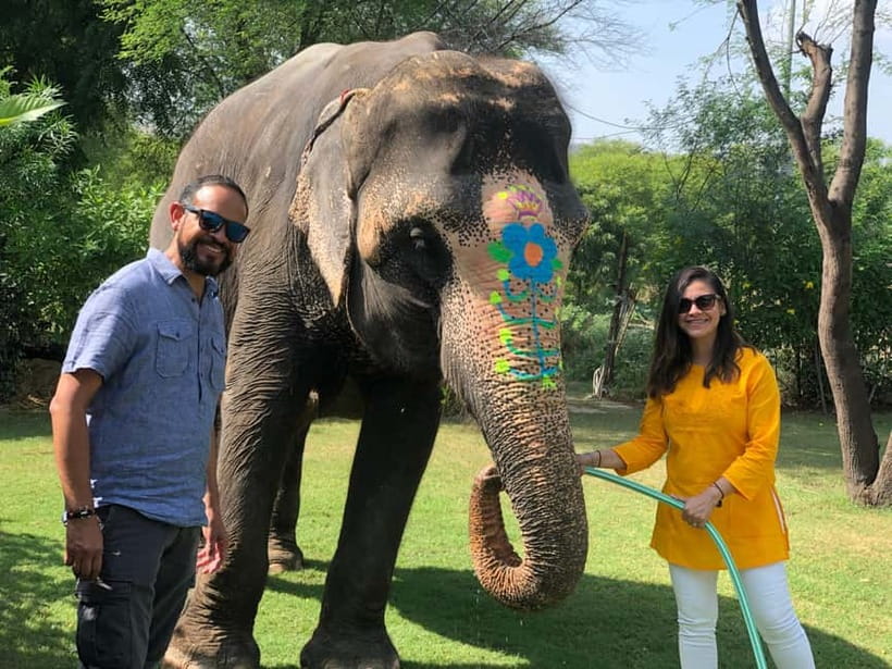 Jaipur: Elephant Interaction Tour - From Jaipur hotel to sanctuary in a private car