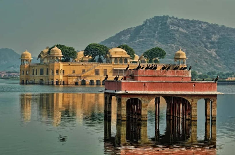 Jaipur: Explore Amber, Jaigarh & Nahargarh Fort with Sunset - Amber Fort: give the palace your full attention