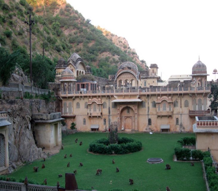 Jaipur: Full-Day City Tour with Camel Ride and Monkey Temple - Key points to know before booking