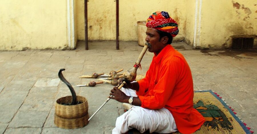 Jaipur: Full-Day Private City Tour by Car with Guide - Reading the sky at Jantar Mantar