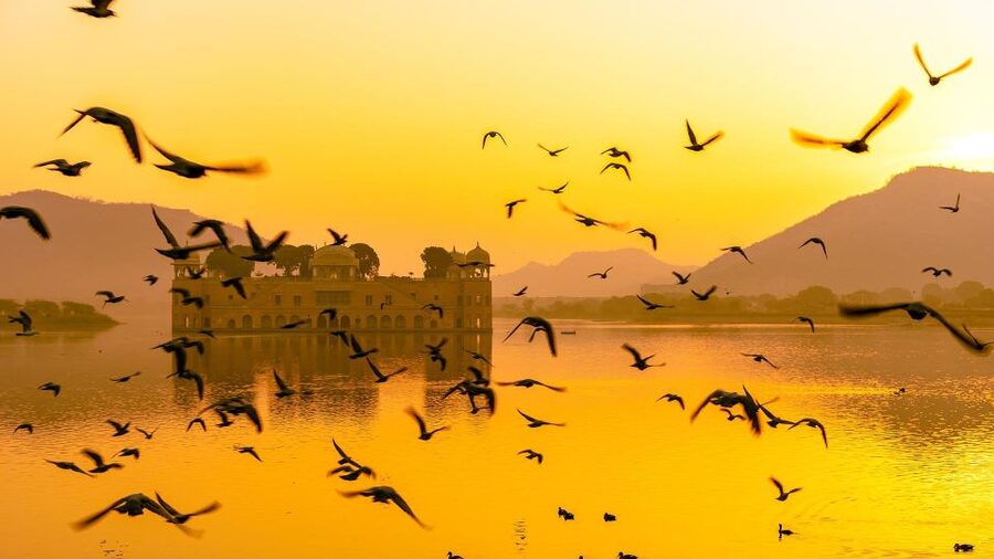 Jaipur: Full-Day Private Sightseeing Tour by Tuk Tuk - A market stop can be useful, but set your limits
