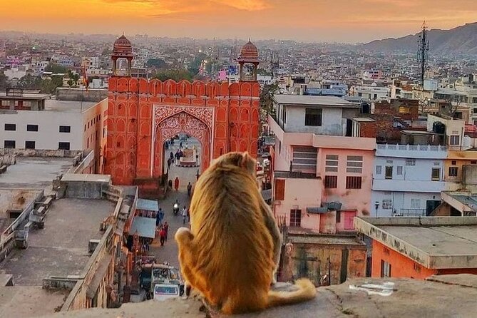Jaipur Full Day Tour By Car And Guide With Hotel Pickup - Amer Fort: Begin With Jaipur’s Grandest View
