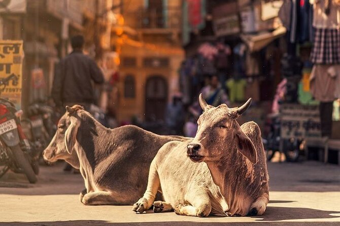 Jaipur Full Day Tour By Car And Guide With Hotel Pickup - The Pink City Bazaars and Jaipur Block Printing