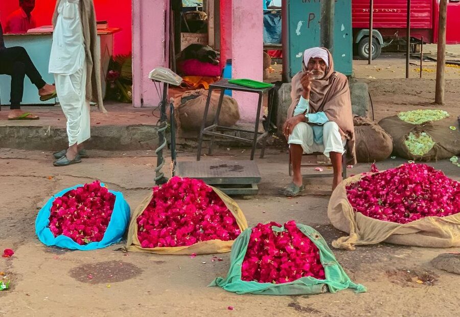 Jaipur: Half-Day Guided Sightseeing Tour with Flower Market - Gaitor gives the morning a quieter turn
