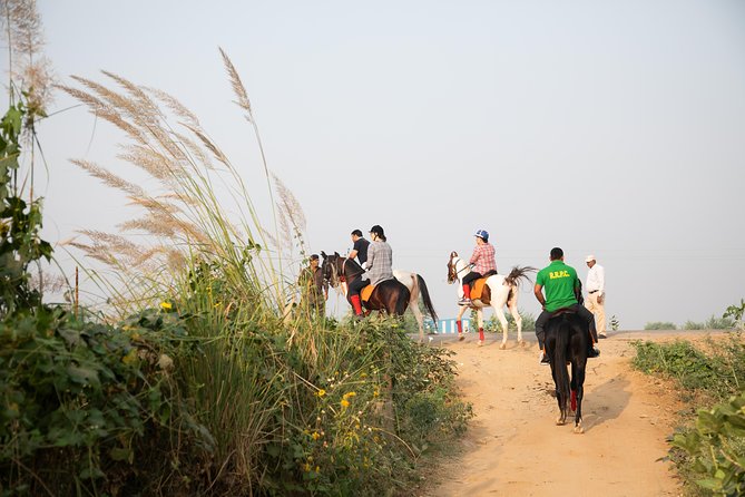 Jaipur Horse Riding Adventure - Why the Marwari horse makes this ride different